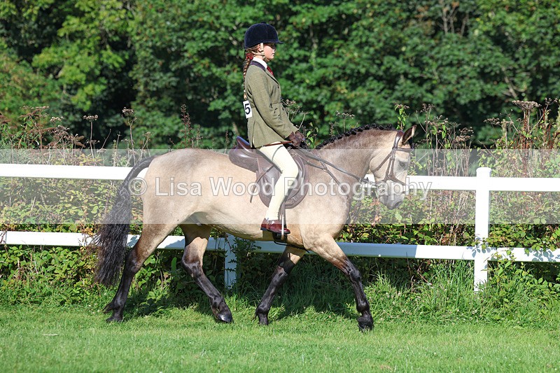 3E7A7814 - Class 2: Open Working Hunter pony
