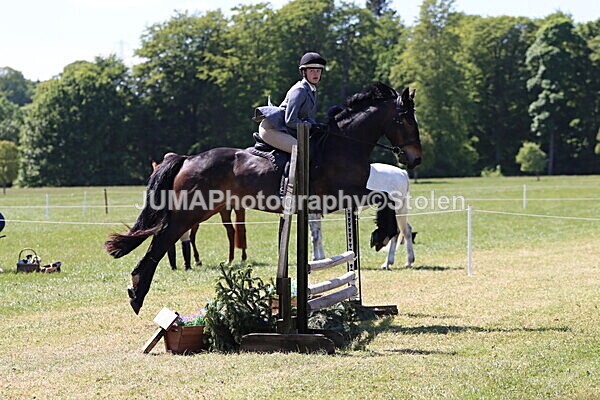 IMG_4007 - Working Hunter