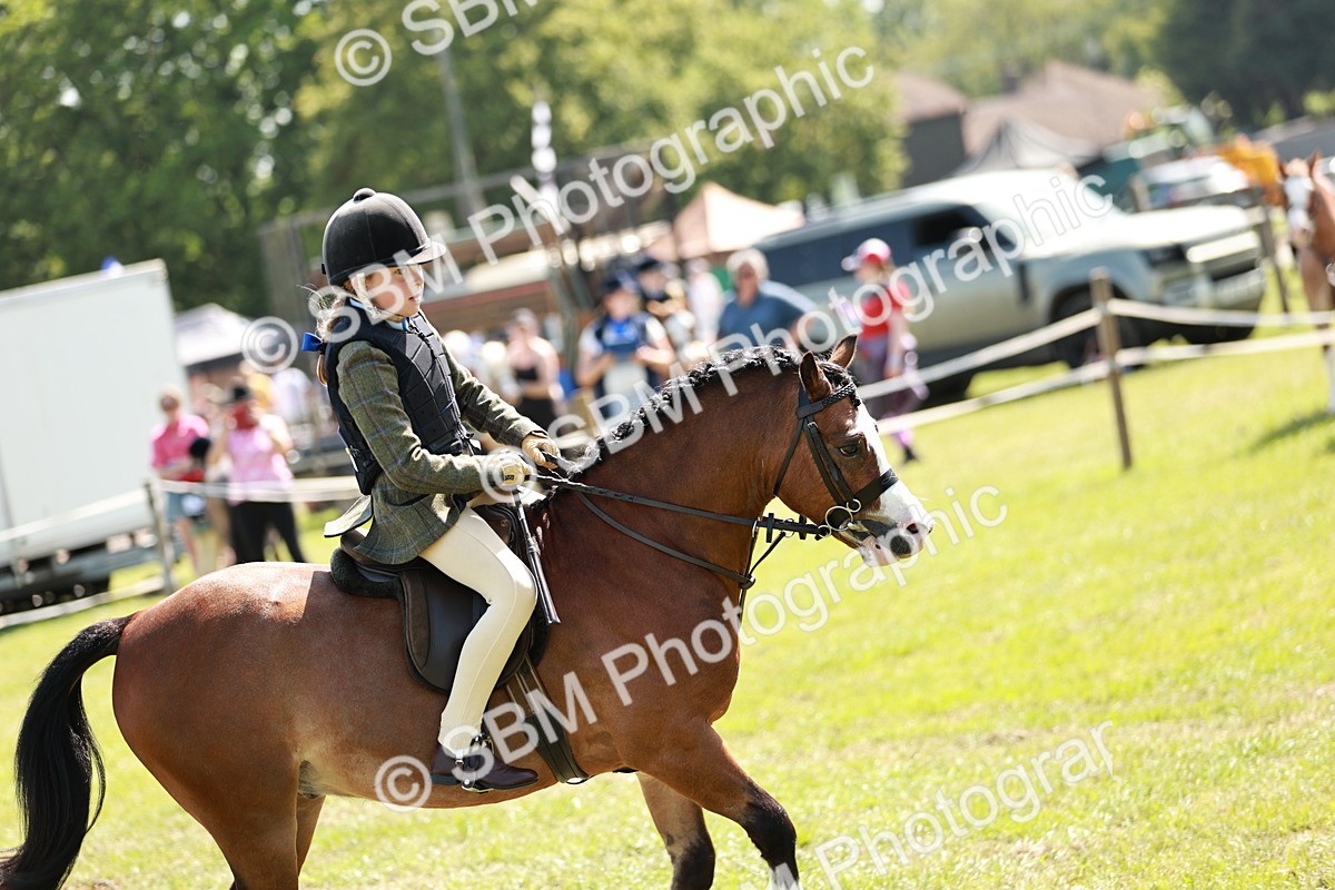 SBM_13564 - Class 108-109 - BSPS LIHS Open Gradle & Nursery Stakes