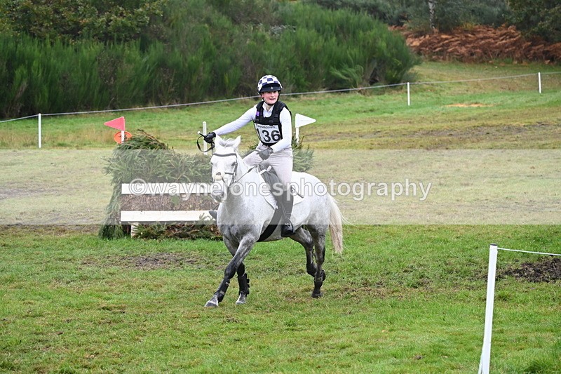 WJ6_2367 - 80cm Cam 1 Time 11:23 to 12:04