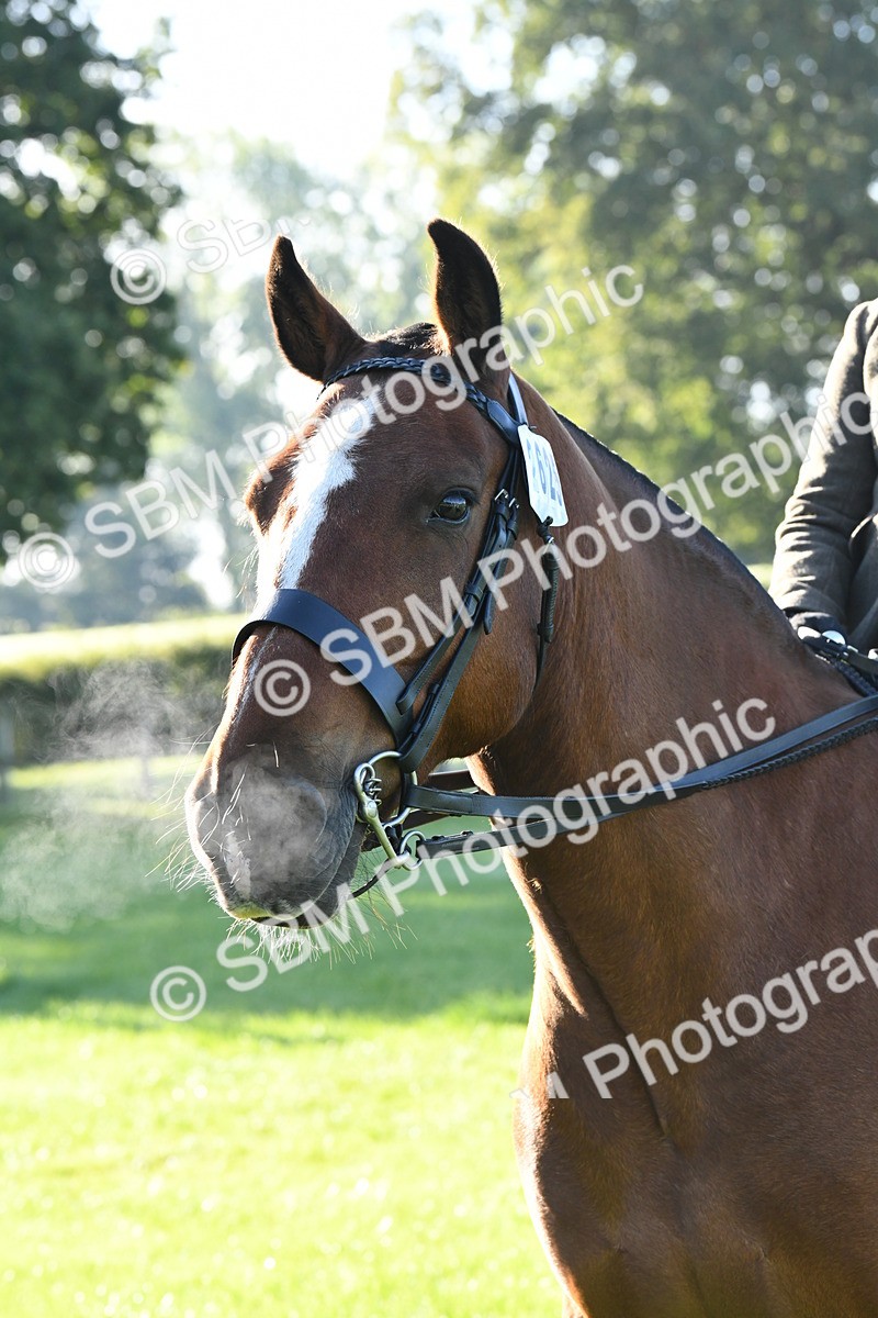 SBM_34045 - S16 - Condition & Turnout - Ridden