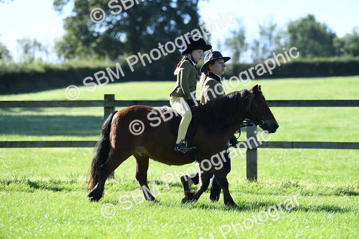 SBM_36788 - S18 - Novice & Newcomers Lead Rein Pony