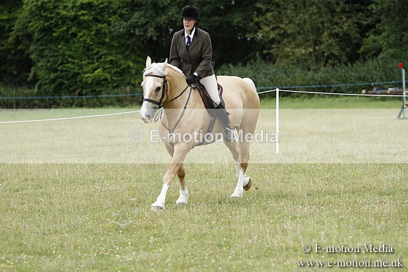 BVR160717-378 - Ring 3 BVRC Show 16/07/17