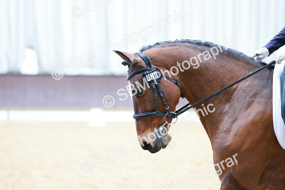 SBM_003439 - Class 15-16-18 - Novice 3-Elementary 1-PYO