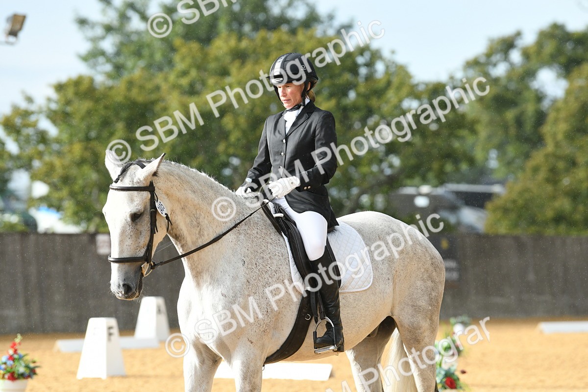 SBM_11167 - D28 Elementary Taster Elementary 42