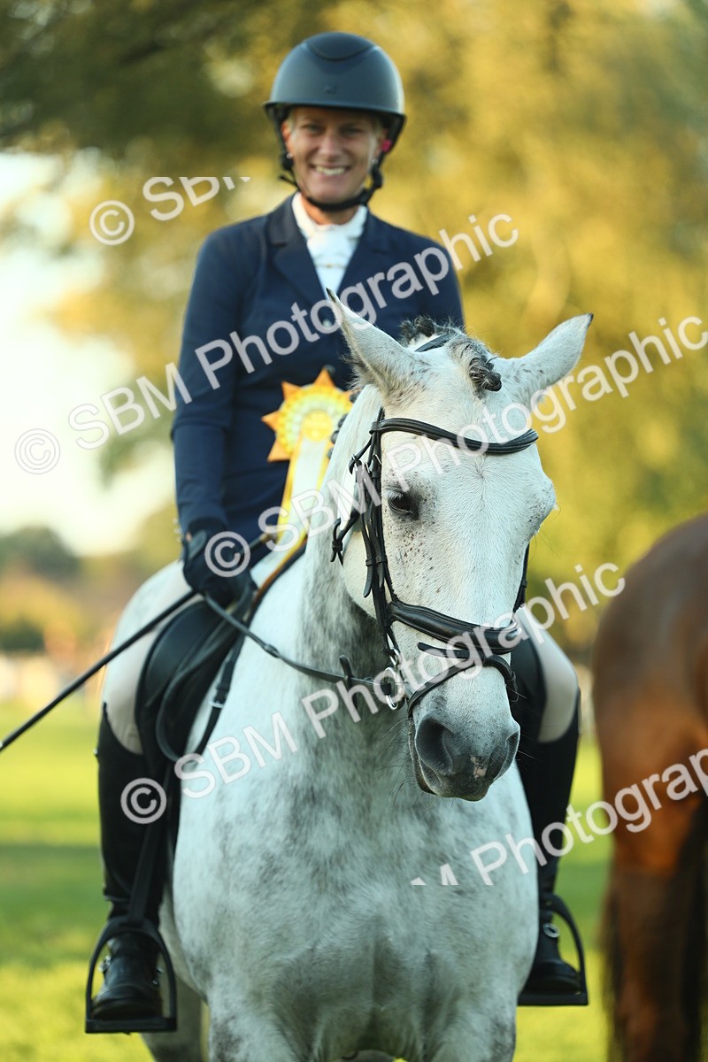SBM_56561 - S14 - Riding Club Horse