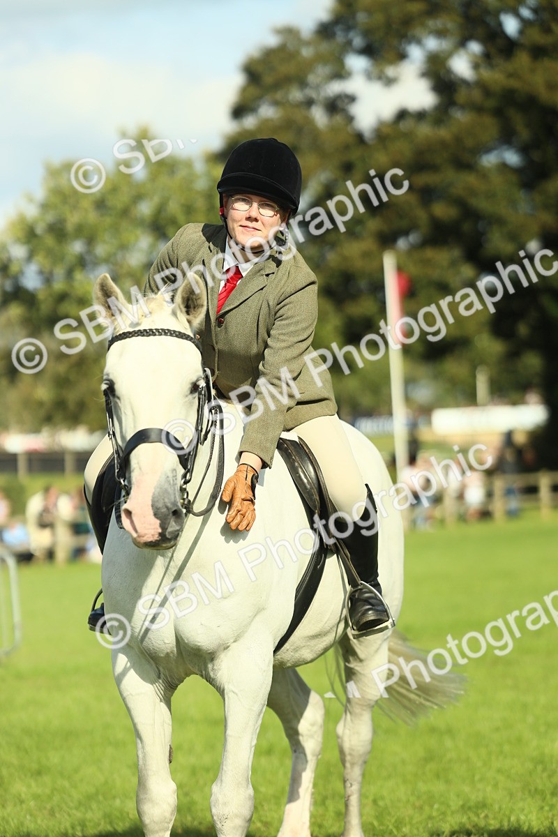 SBM_49909 - S32 - Novice & Newcomers Working Hunter