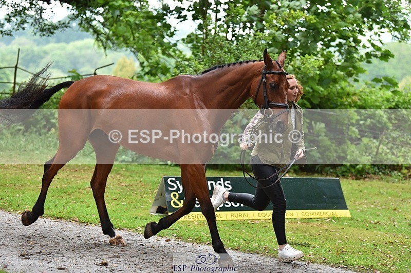 240522-165946-01311 - 232-MAYFAIR_TN-Susie_Berry