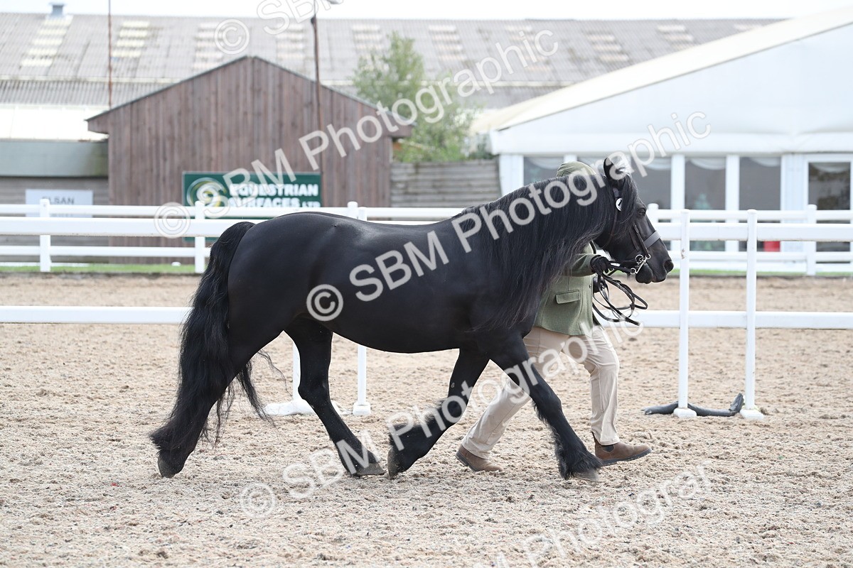 SBM_23279 - Class 606 - 2025 Area - IH Pre Vet