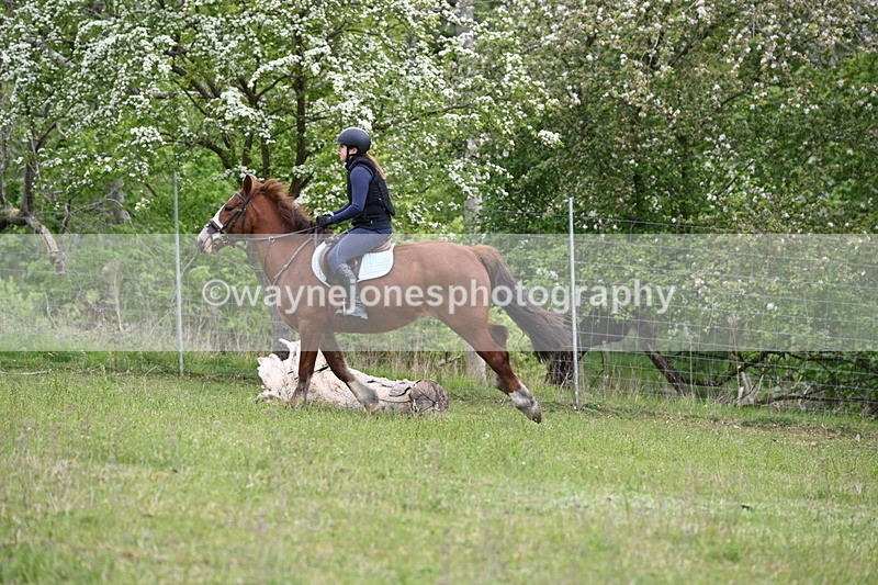 WJ6_1588 - Group 4 A&B Cameras