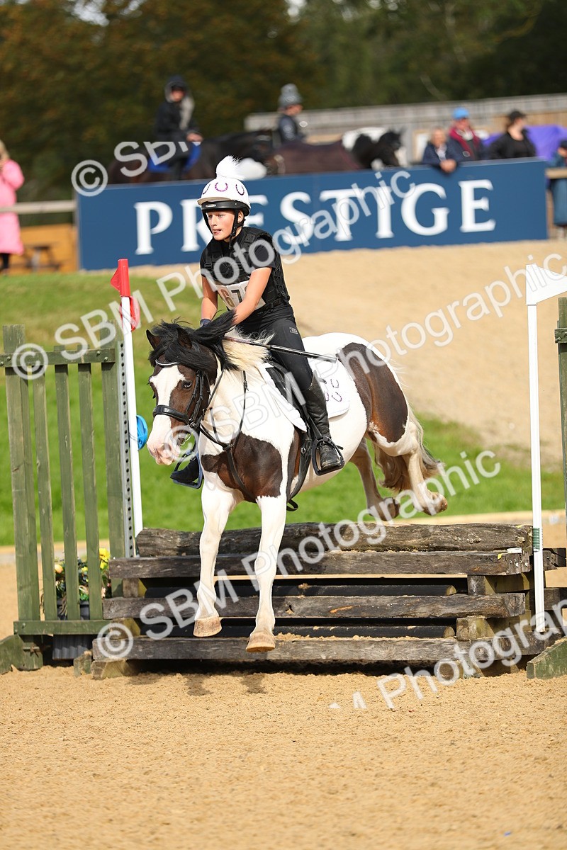 SBM_08045 - E4 Eventers Challenge 80cm Open