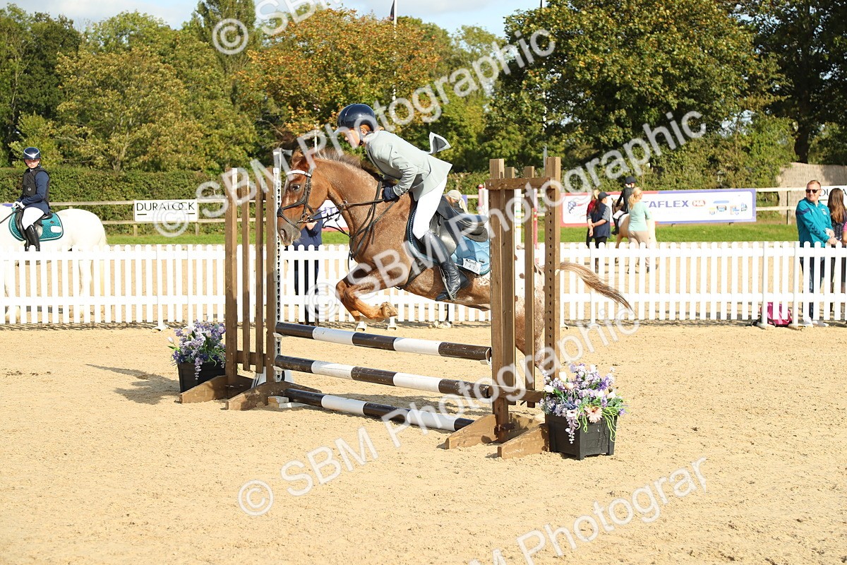 SBM_51602 - J7 - Junior Pony 60cm Championship