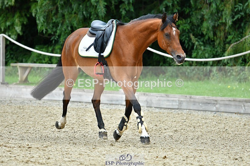 230712-113552-22878 - Cls 55 British Novice & 90cm Open