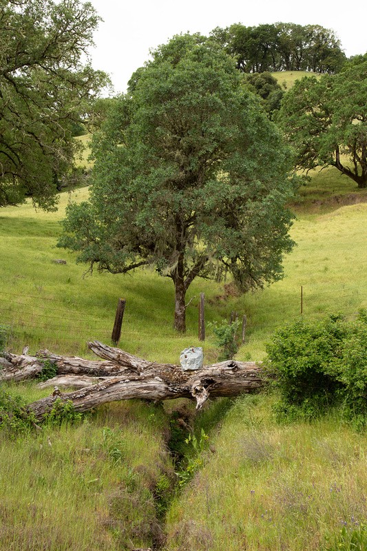 Metal target - Abandoned Line