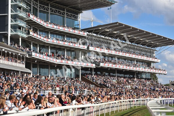 yr20082022r7-21 - Race 7 5.20pm Sky Bet Finale Stakes