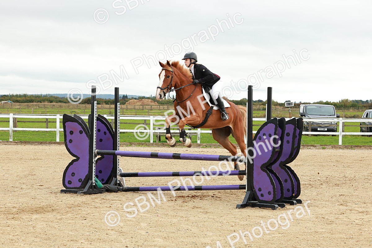 1I0A6762 - Class 2 - Senior British Novice