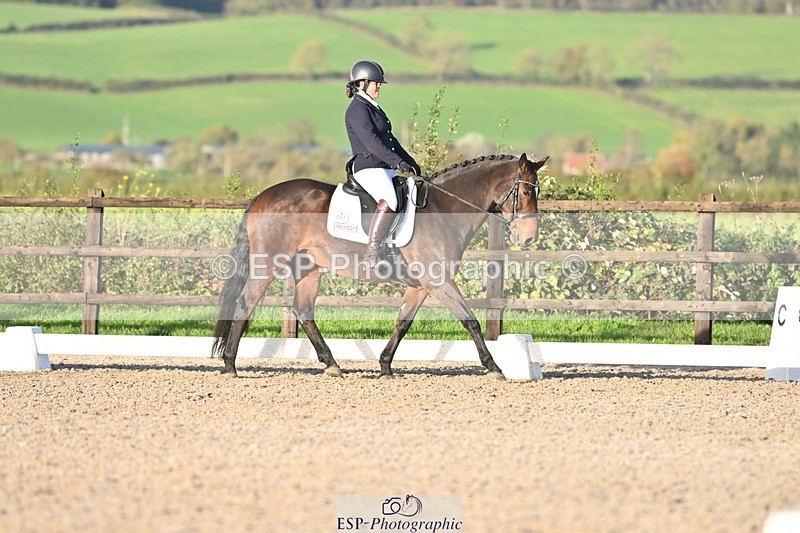 231105-151139-03018 - Cls 4 Novice 24 15.24 to 16.35 break