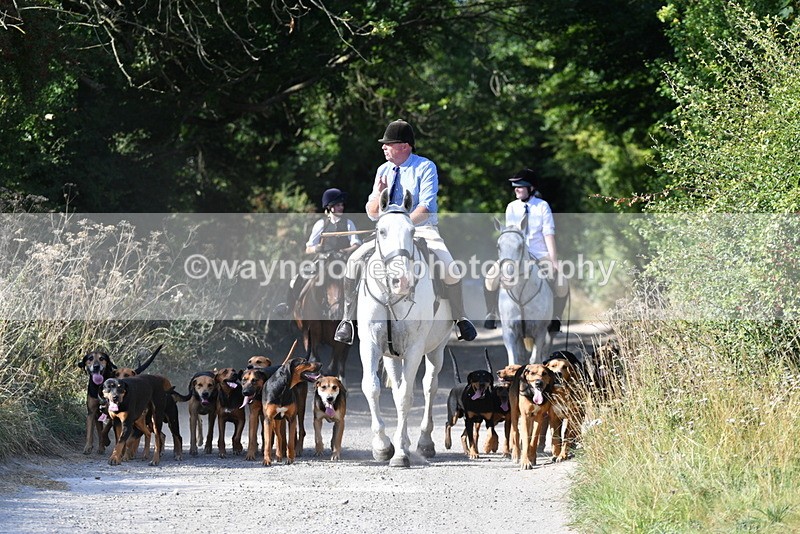WJ5_4782 - Walk out with the hounds