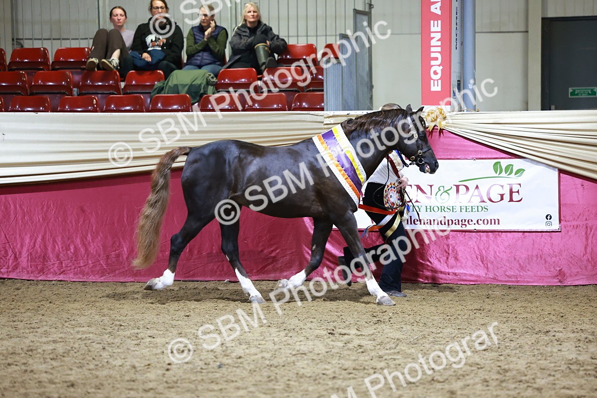 SBM_21089 - Class P - M&M Champs