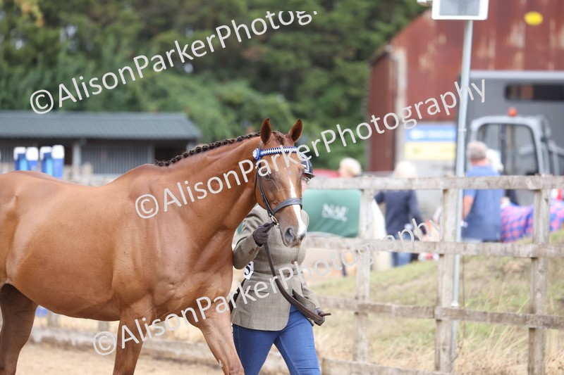 20260831-1881 - Class 5 - Retraining of Racehorses