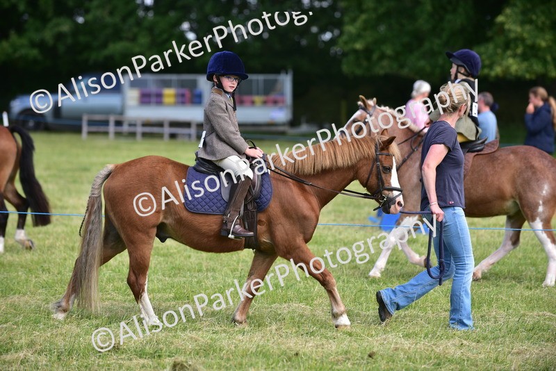 20260614-1124 - Class 11a - Lead Rein Pony (Unplaited)