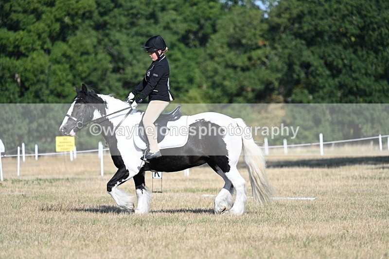 WJ7_8845 - Time 09:00 to 09:24