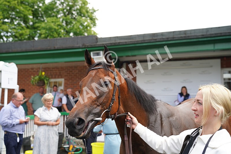 160626-Race 2-Dragon Spin-12 - Race 2 14.50pm PD Hook Gallop Handicap