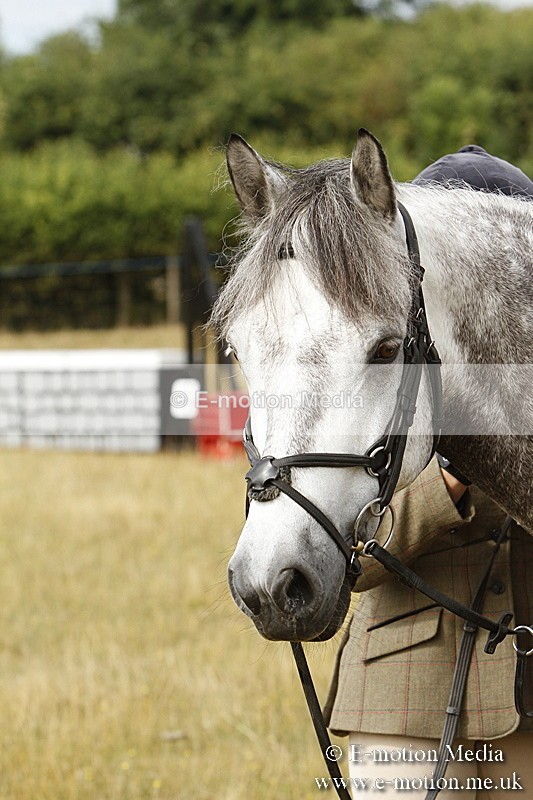 _BS_0583 - BVRC Show 2018 Ring 3