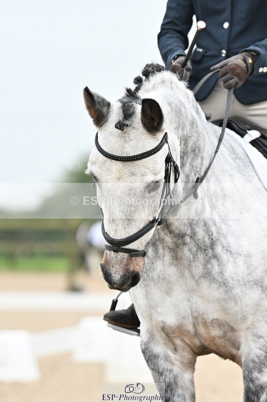 241103-111719-01148 - Prelim 1 - 10.04 to 11.21