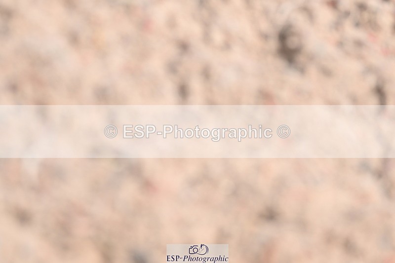 240622A-122127-10076 - Cls 34 BD Music Medium