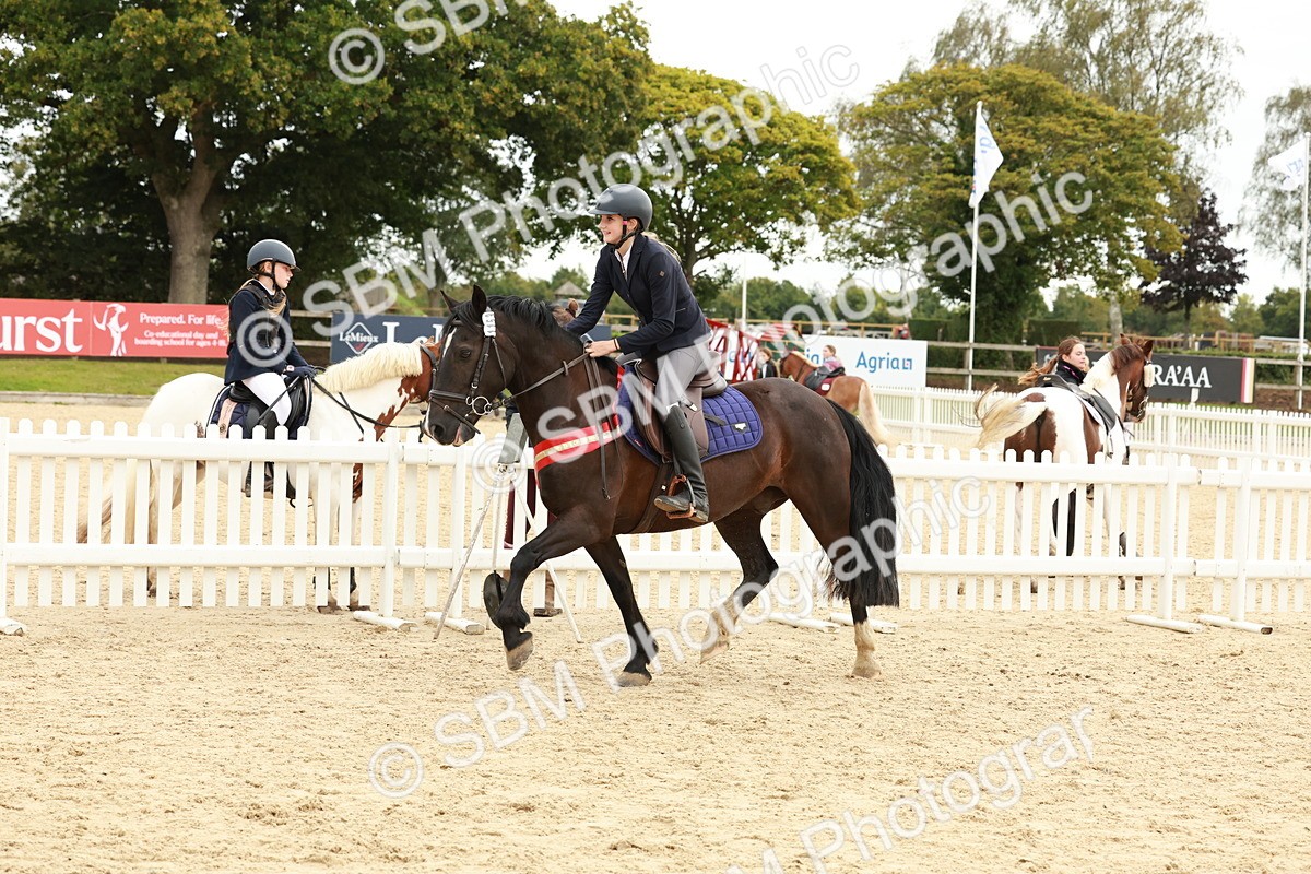 SBM_65381 - Supreme Championship 50cm & 55cm