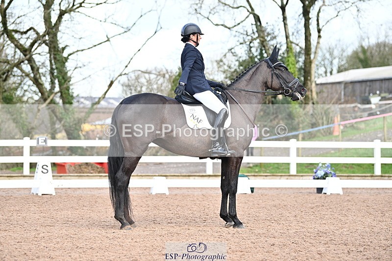 240218A-120044-06954 - 204-Elder.Klatzko-Dynasty.Hit