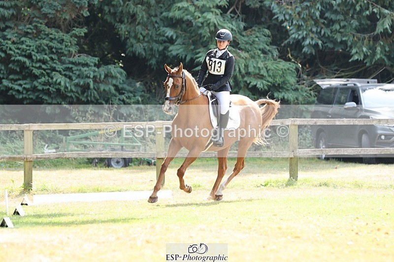 250823A-135700-31413 - Arena D