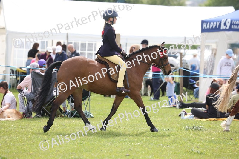 20260426-2951 - Class 33 - Best Pony 14.2hh and Under
