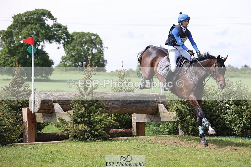 240525-141141-14539 - 162-HAZZLE_DAZZLE-Henry_Hobby