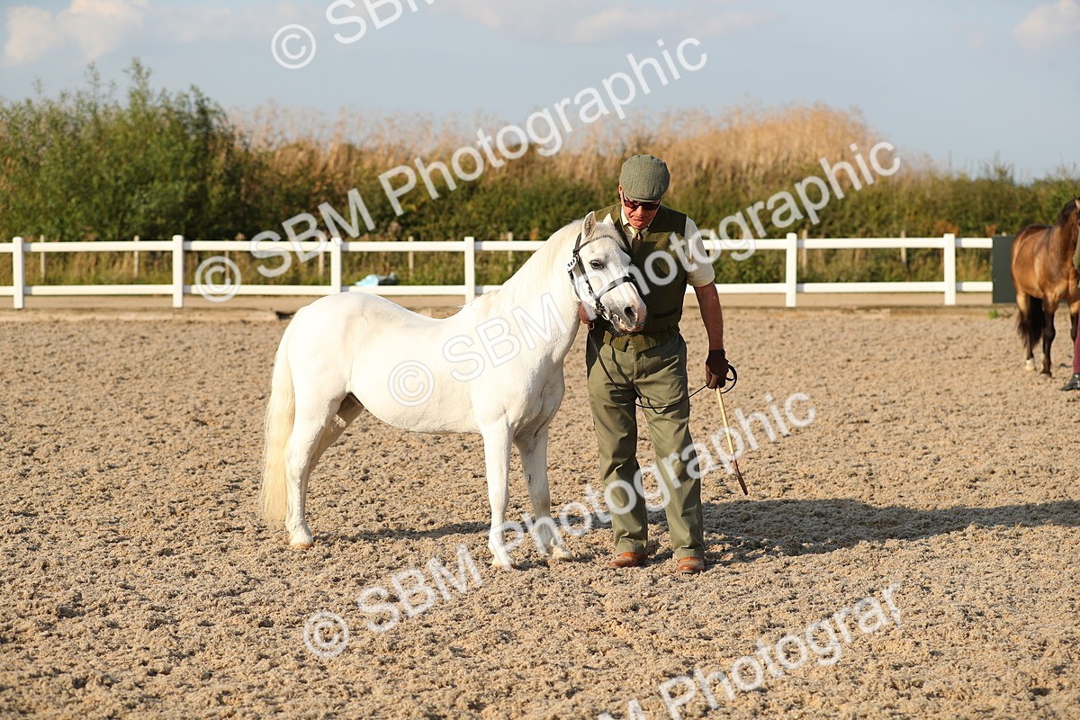 SBM_09016 - Class 29 IH Veteran Pony