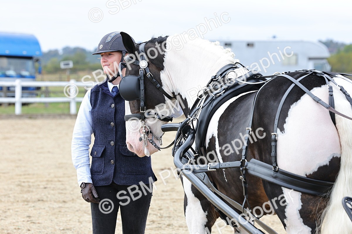 SBM_000781 - Class 6 - Exercise Vehicle 13.2 and over