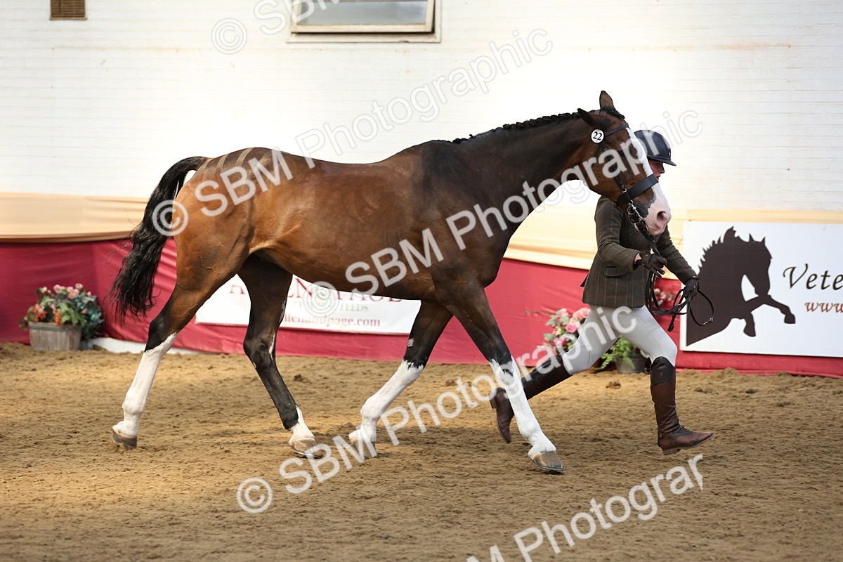 SBM_24141 - Class 905 - Supreme Final - Ridden Veteran