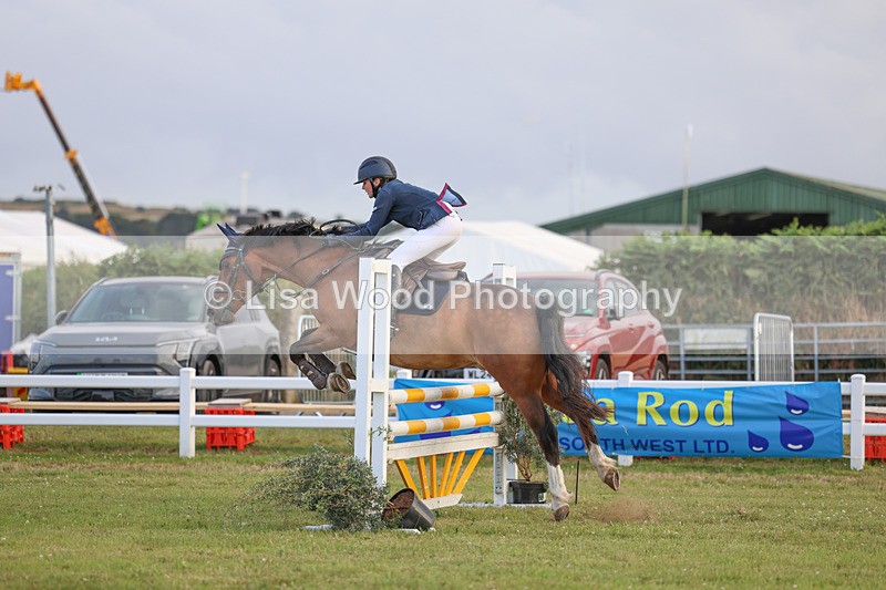 3E7A5051 - Class D: Showjumping Pony Intro 90cm