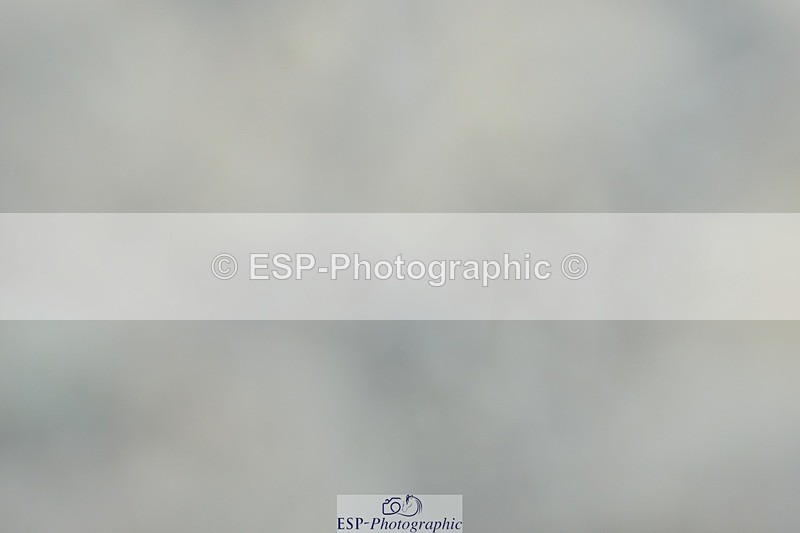 230623-172420-01524 - Cls 8 Medium 73Q