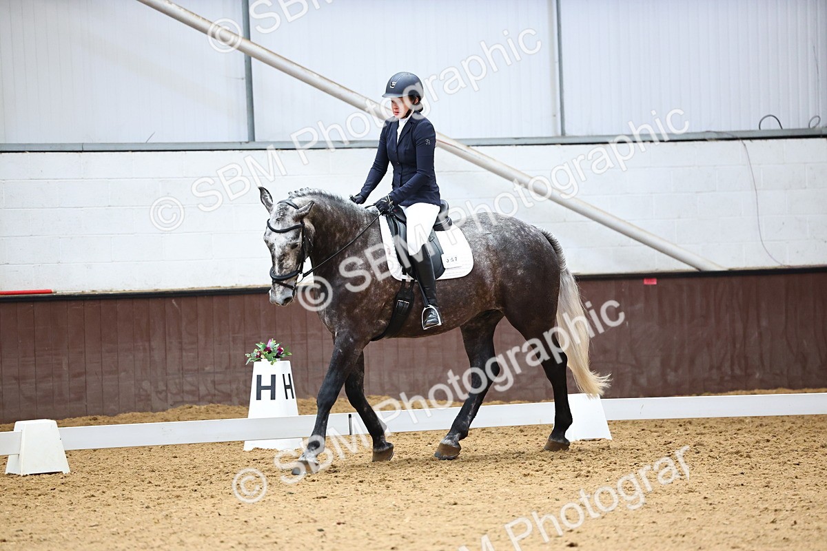 SBM_003428 - Intro 2