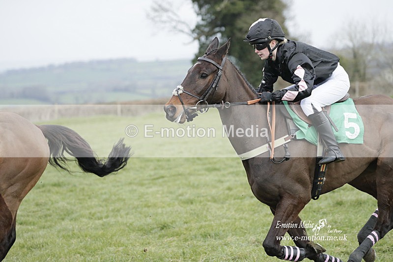 PtP 050323 991 - Blackmore & Sparkford Vale Hunt PtP - Somerset 05/03/23