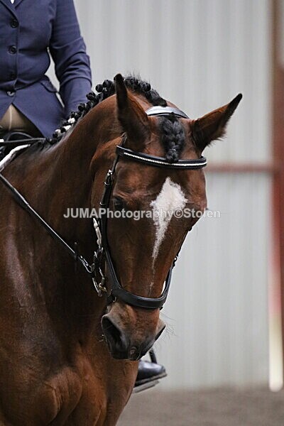 SIAL4757 - CAbin Dressage 5th july 2025