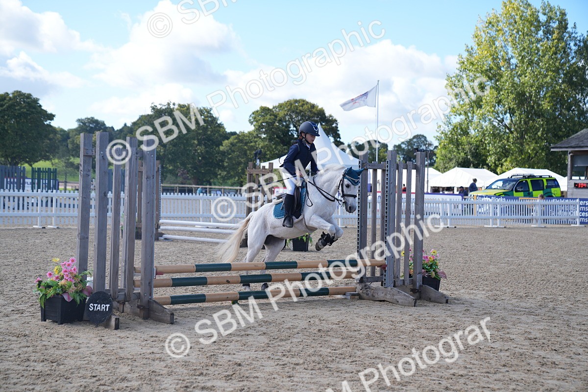 SBM_02468 - J54 Clear Round 45cm