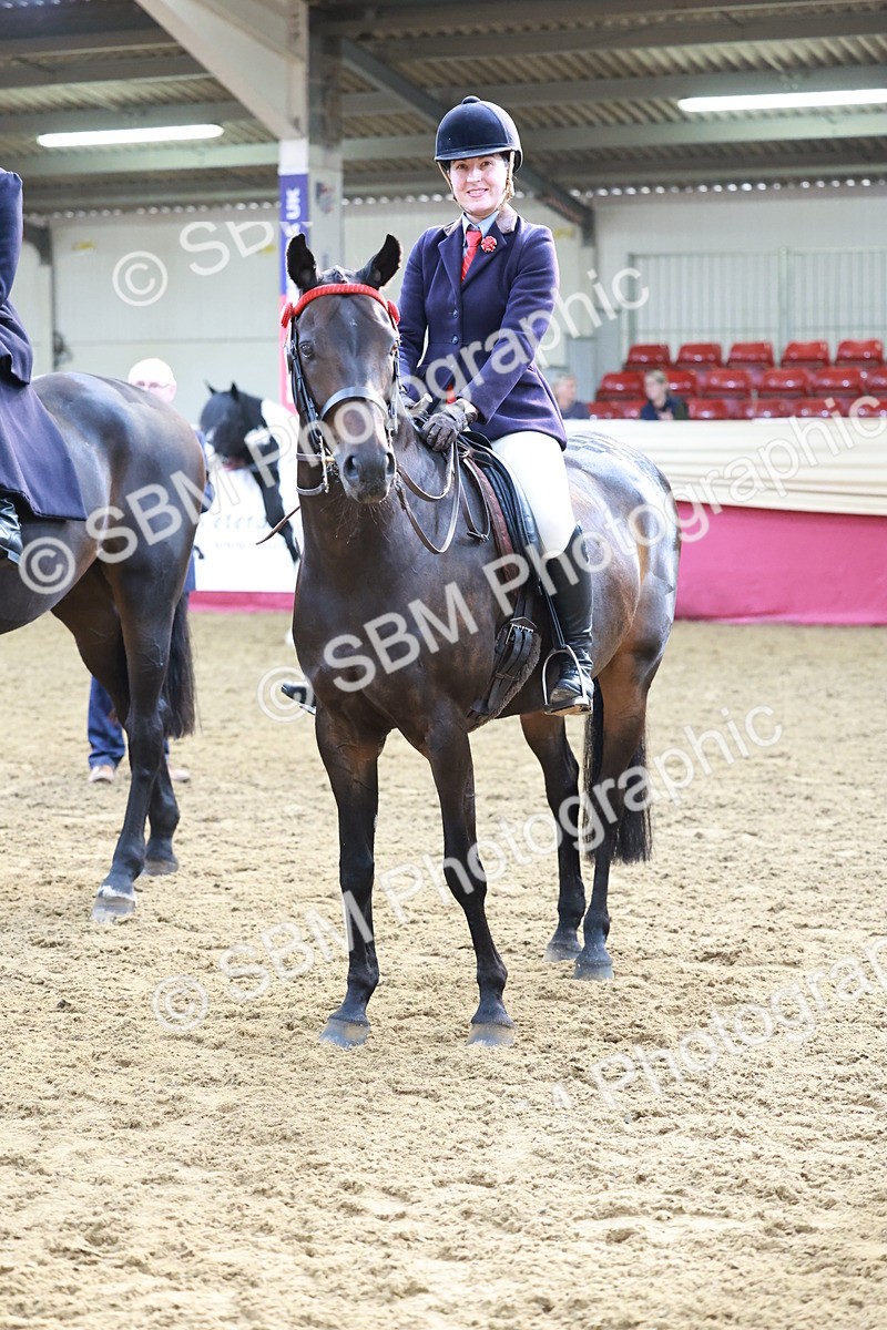 SBM_11987 - Class 102 - Equitation (Best Rider) Adult