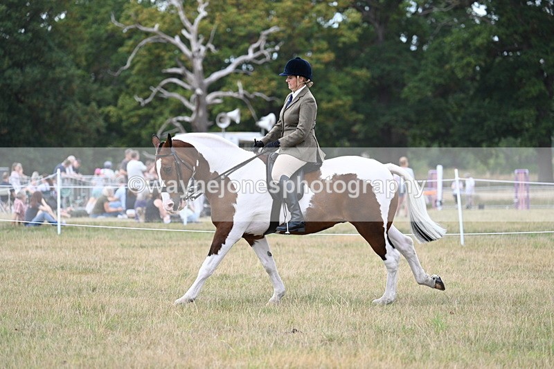 WJ7_5072 - Class 12 Ridden Cob