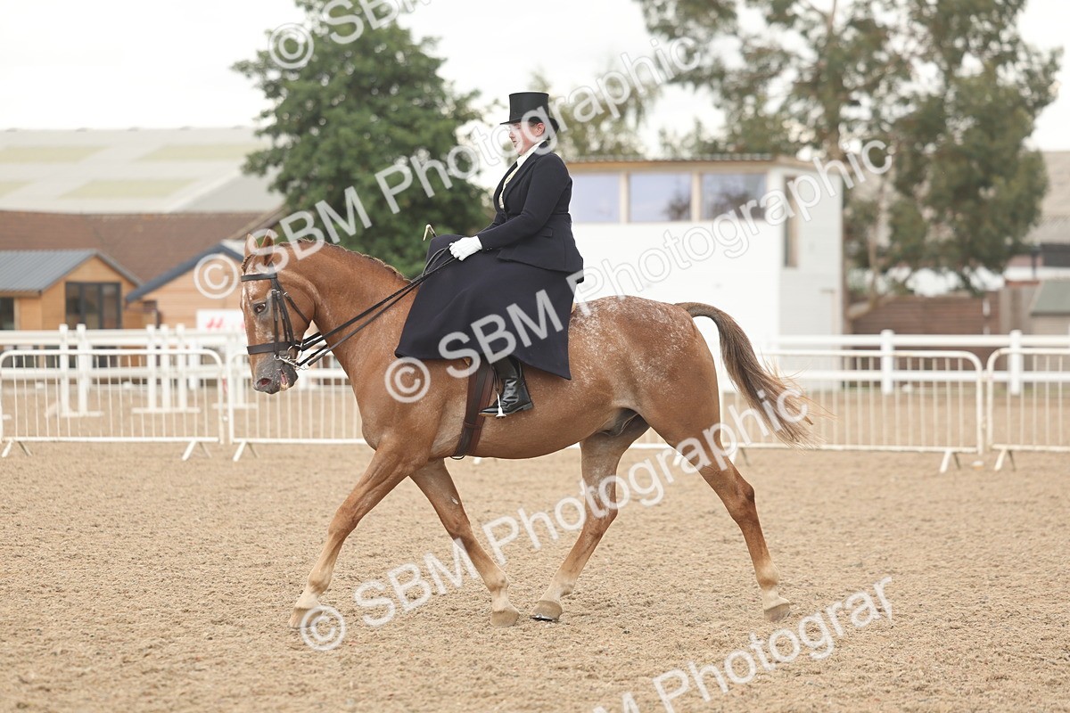 SBM_06327 - Class 23 - SSA - Classical