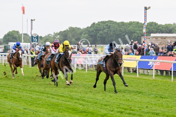 150525-Merchant-5309 - Race 7 5.25pm Haxby Handicap