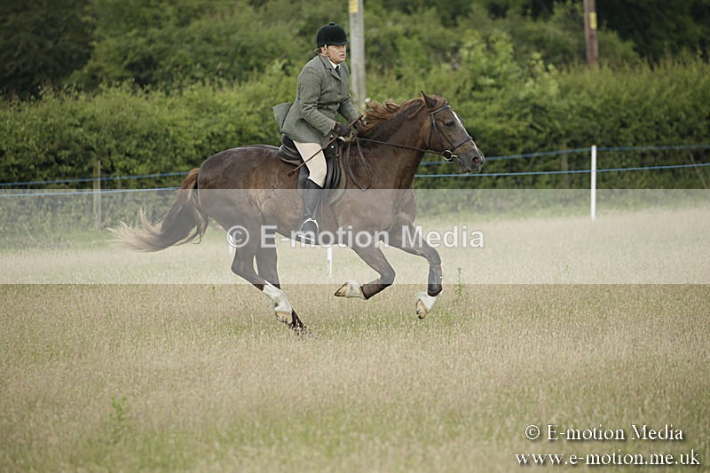 B230619-0182 - Bourne Valley Riding Club Summer Show 23/06/19