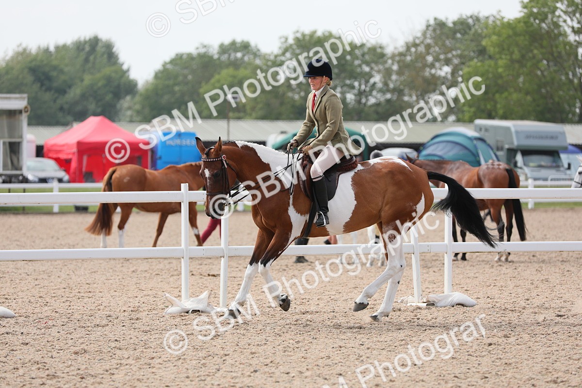 SBM_13425 - Class 308 Ridden Coloured Horse